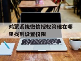 鸿蒙系统微信授权管理在哪里找到设置权限的简单介绍