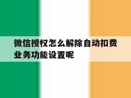 微信授权怎么解除自动扣费业务功能设置呢