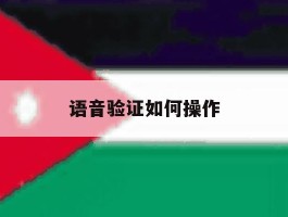 语音验证如何操作