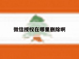 微信授权在哪里删除啊