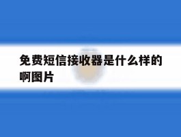免费短信接收器是什么样的啊图片