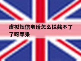 虚拟短信电话怎么拦截不了了呀苹果