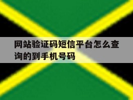 网站验证码短信平台怎么查询的到手机号码