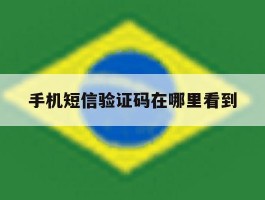 包含手机短信验证码在哪里看到的词条