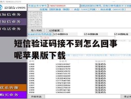 短信验证码接不到怎么回事呢苹果版下载