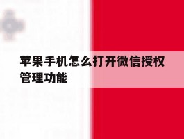苹果手机怎么打开微信授权管理功能