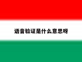 语音验证是什么意思呀